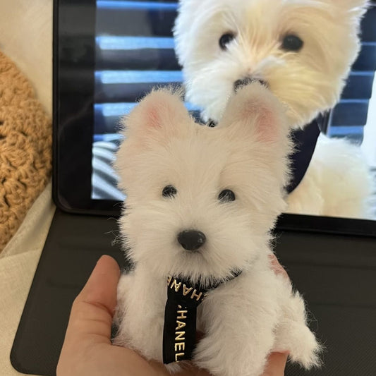 Handmade Custom Pipe Cleaner Pet