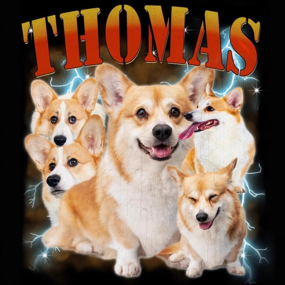 Personalized Printing Hip Hop Vintage Pet Sweatshirt